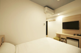 Sotetsu Fresa Inn Ginza-Sanchome