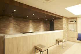 Sotetsu Fresa Inn Ginza-Sanchome