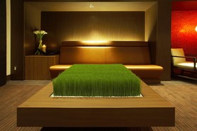 The B Akasaka Hotel