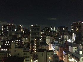 Hotel Villa Fontaine Tokyo - Kudanshita