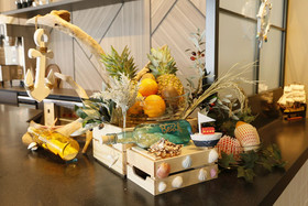 Ibis Styles Tokyo Bay