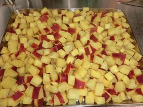 Ibis Styles Tokyo Bay