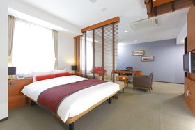 MYSTAYS Shin Urayasu Conference Center