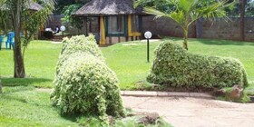 Golden Palm Breeze Hotel