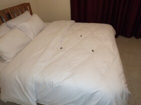 Kagan Homestay