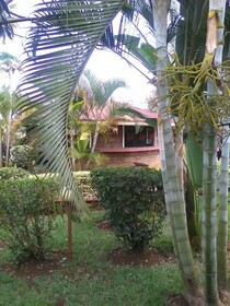 Jambo Village Hotel
