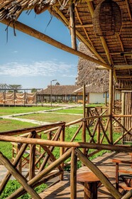 Glamping Kenya Mount Kenya Lodge
