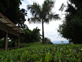 Le Prestine Hotel