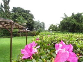 Le Prestine Hotel