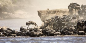 Basecamp Masai Mara