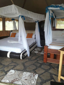 Explore Nature Mara Lodge