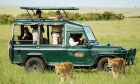 Mara Explorer