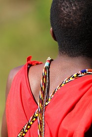 Mara Explorer
