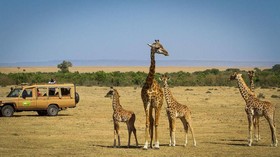 Mara Leisure Camp