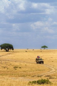 Mara Leisure Camp