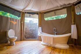 Mara Treetops Luxury Camp