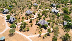 Orngatuny Mara King Camp
