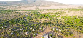Orngatuny Mara King Camp