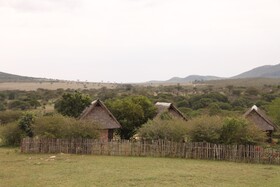 Orngatuny Mara King Camp