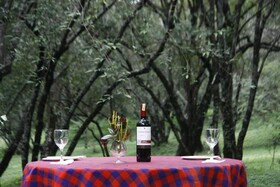 Kimana Mara Tented Camp