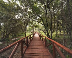 Kimana Mara Tented Camp