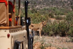 Saruni Samburu