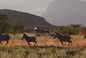 Saruni Samburu