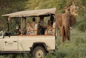 Saruni Samburu