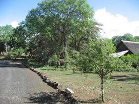 Severin Safari Camp
