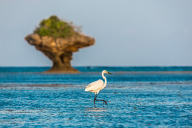 Chale Island Resort