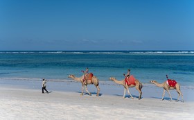 Diamonds Leisure Beach & Golf Resort