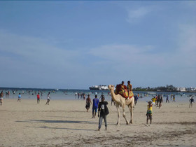 Kwale Golden Guest House