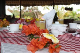 Flamingo Villas Club