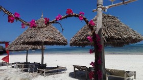 Flamingo Villas Club