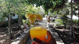 Flamingo Villas Club