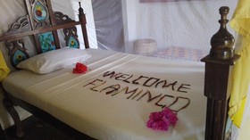 Flamingo Villas Club