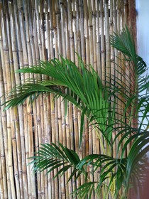 Laluna Bungalows & Restaurant