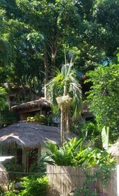 Laluna Bungalows & Restaurant