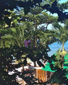 Laluna Bungalows & Restaurant