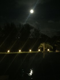 Mangrove River Resort