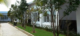 Mangrove River Resort