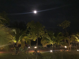 Mangrove River Resort