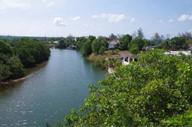 Mangrove River Resort