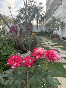 Intanou Boutique Hotel