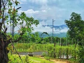Kampot Tropical Village