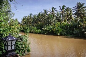 Kampot Tropical Village