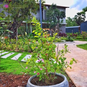 Kampot Tropical Village