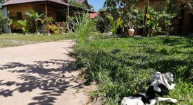 The Hidden Oasis Bungalows