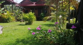 The Hidden Oasis Bungalows