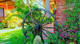 The Hidden Oasis Bungalows